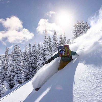 Downhill Ski