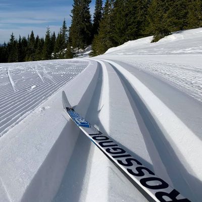 Cross Country Ski