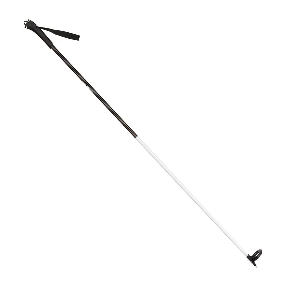 Rossignol FT-500 Poles