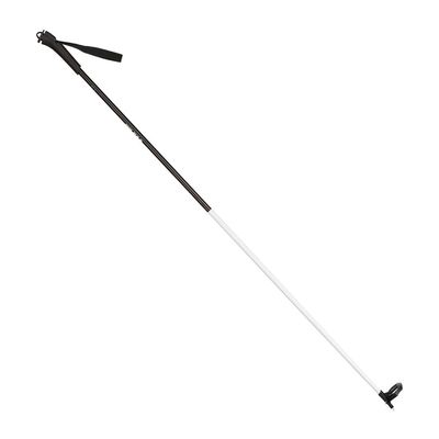 Rossignol FT-500 Poles