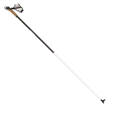 Rossignol Force Poles