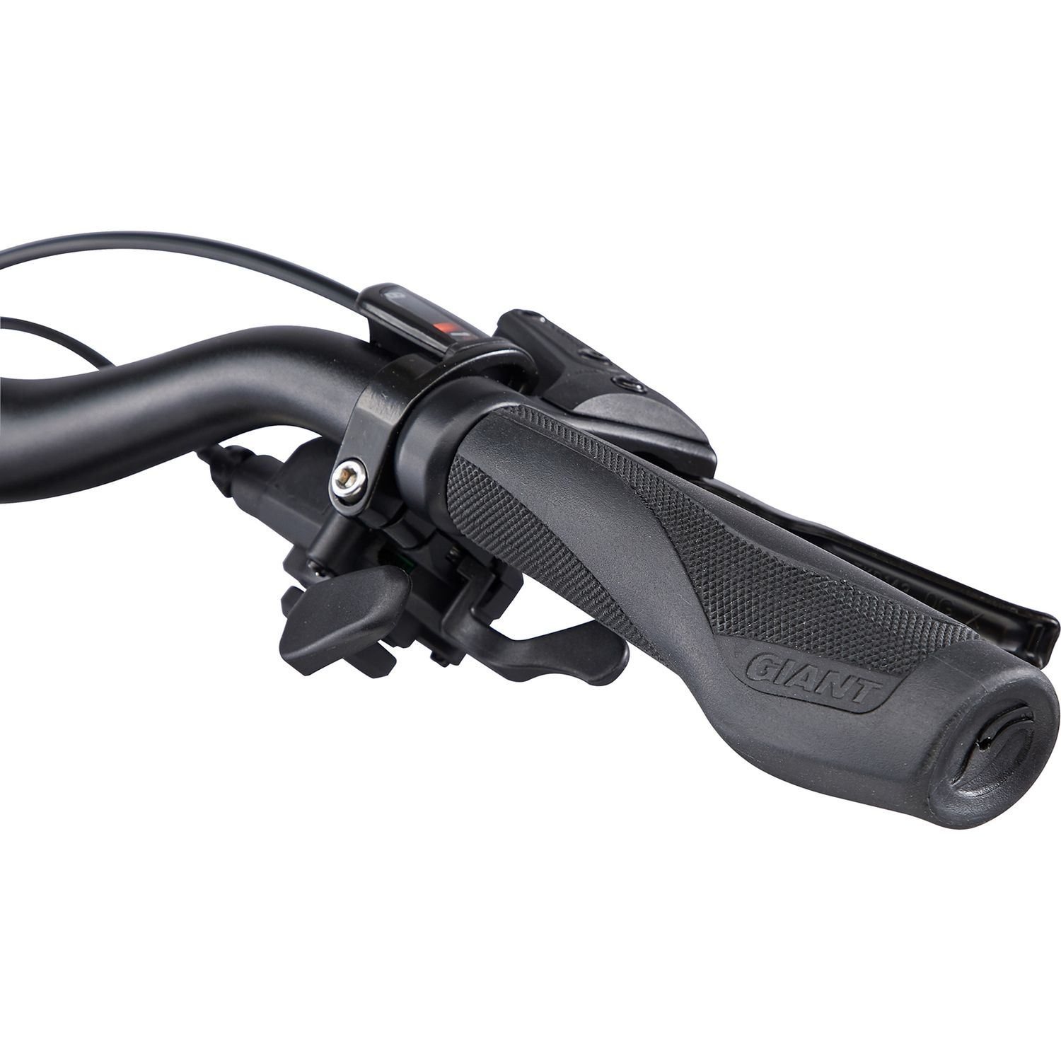 Giant Cypress 2 Black