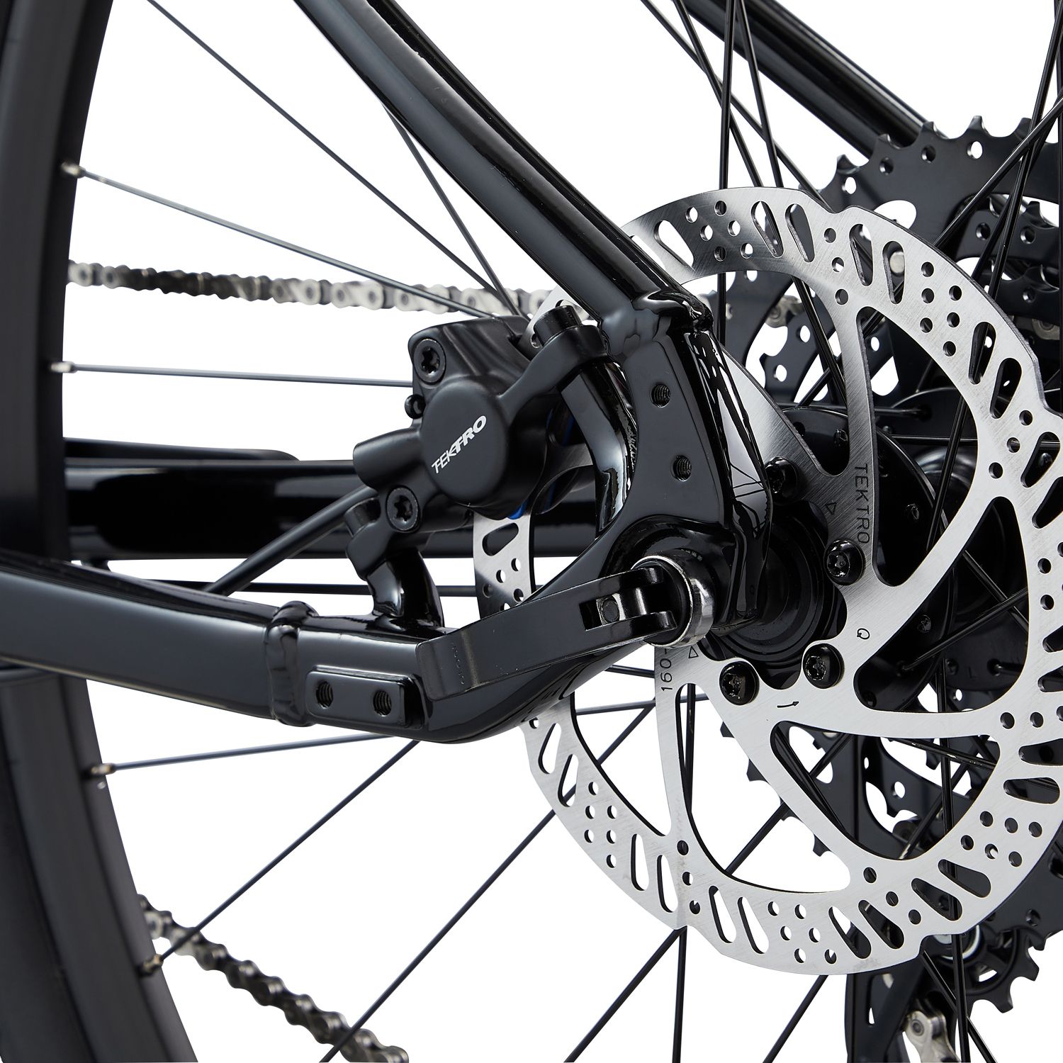 Giant Cypress 2 Black