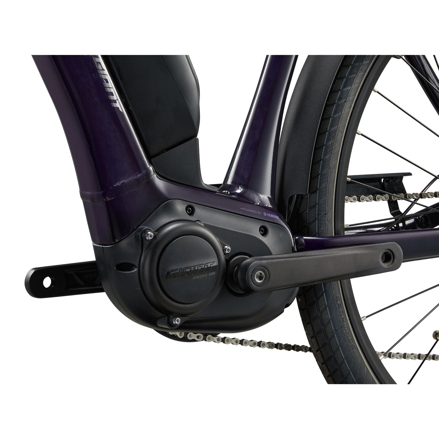 Giant Expression E+ Black Current