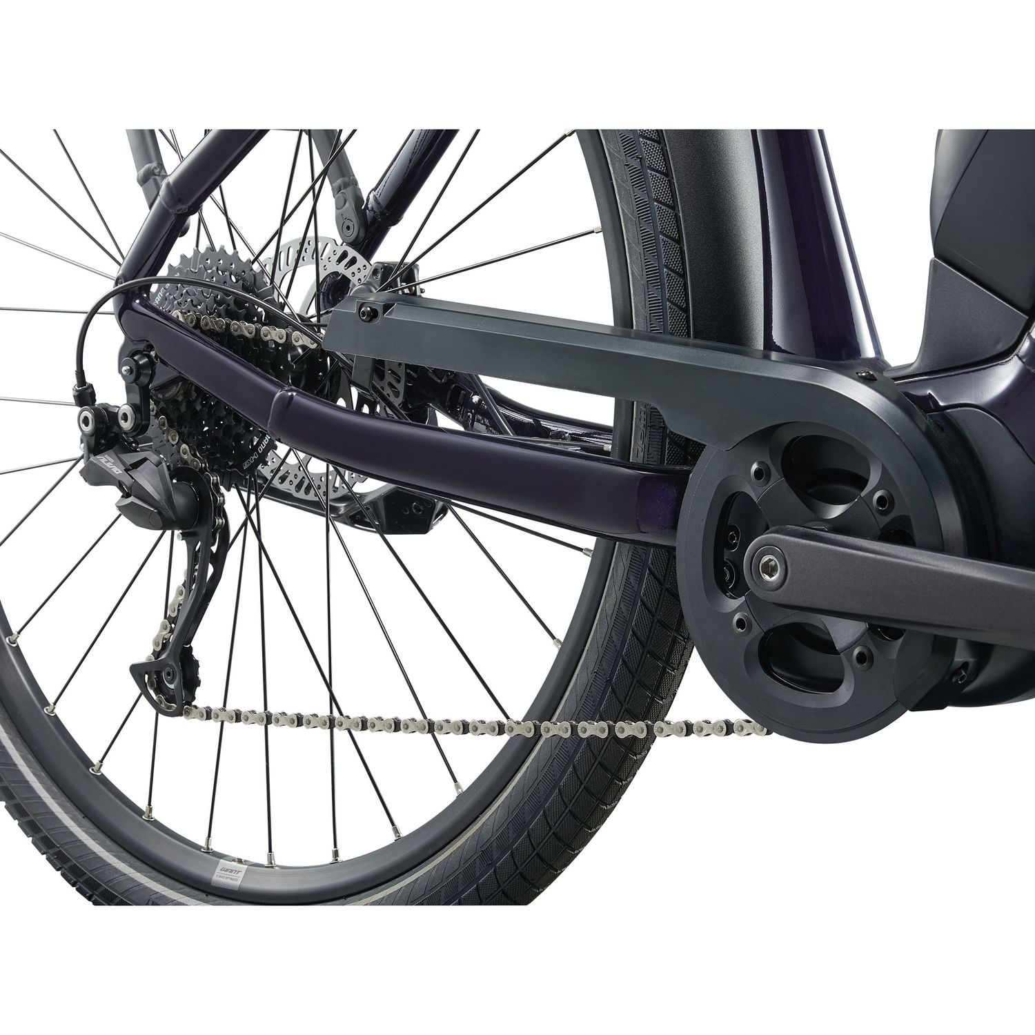 Giant Expression E+ Black Current