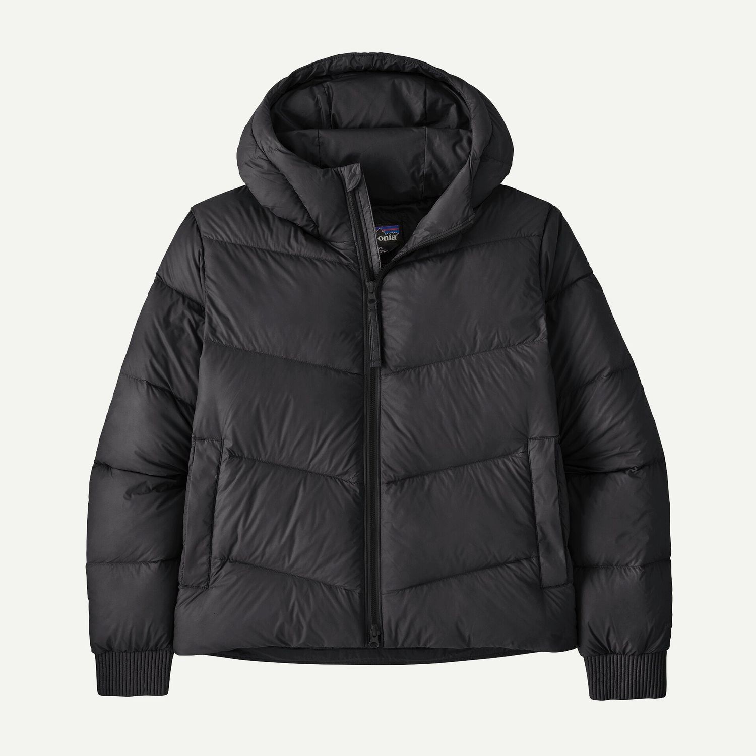 Patagonia W Sindit Hoody Jkt Black