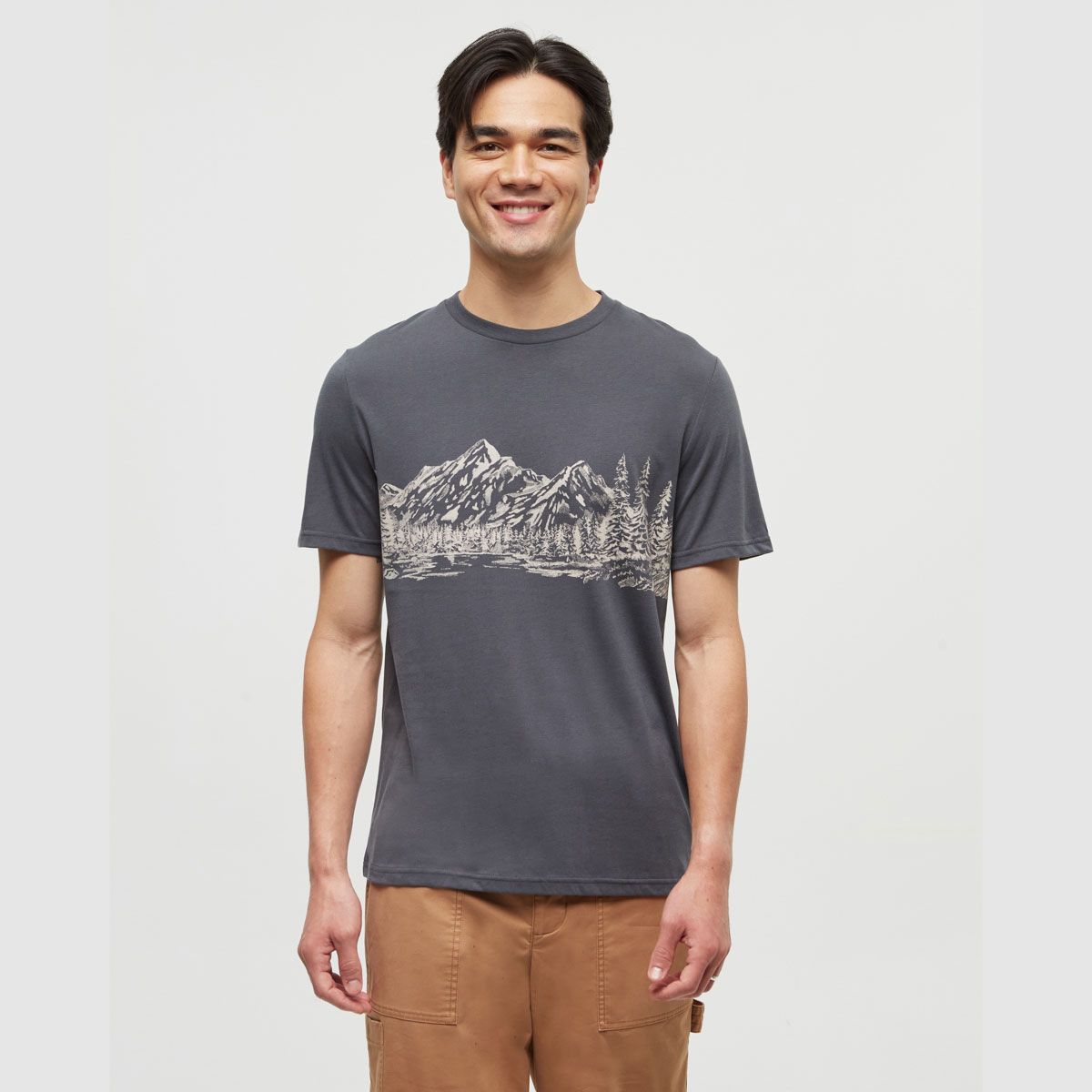 tentree M Mountain Scenic Tee Graphite