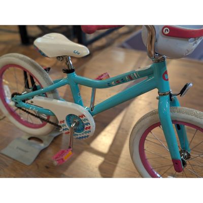 Liv Adore Teal 16" Used