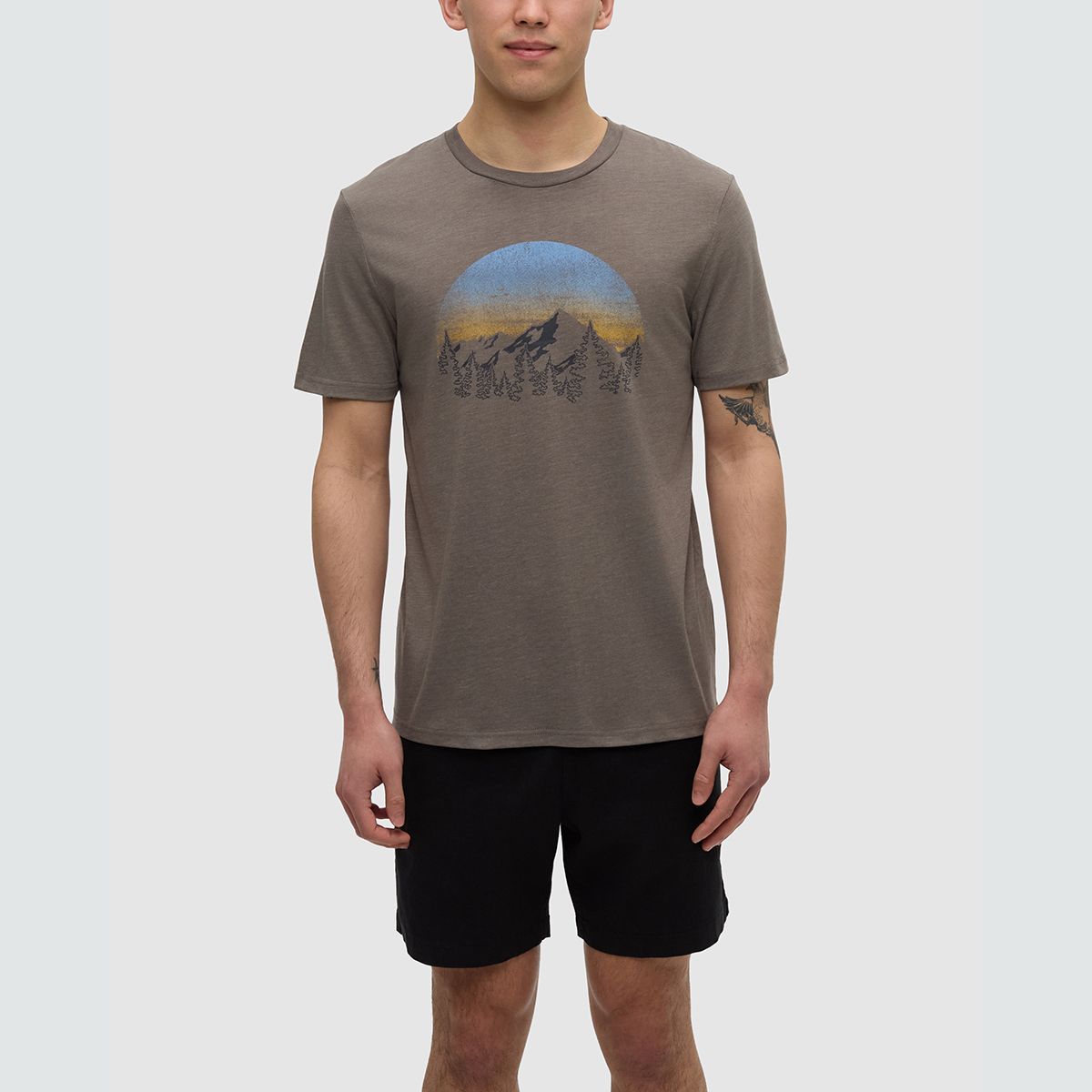 tentree M Vintage Sunset T-Shirt Timber/Light Moss