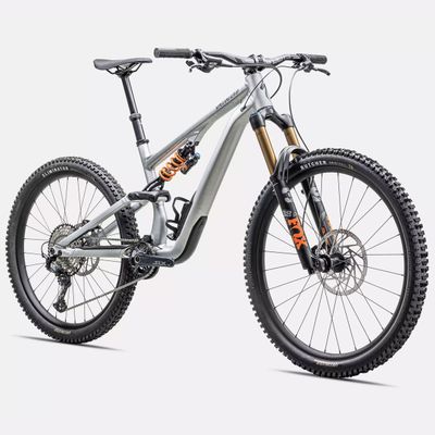 Specialized Stumpjumper 15 Fox Coil Brushed Alloy/ Cast Blue