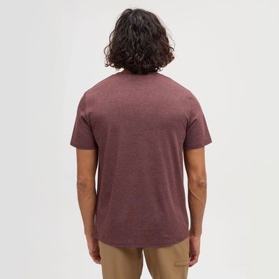 tentree M Vintage Sunset Tee Red Chestnut/Hazelnut