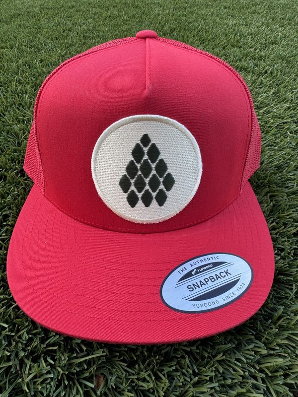 Pinecone Snapback