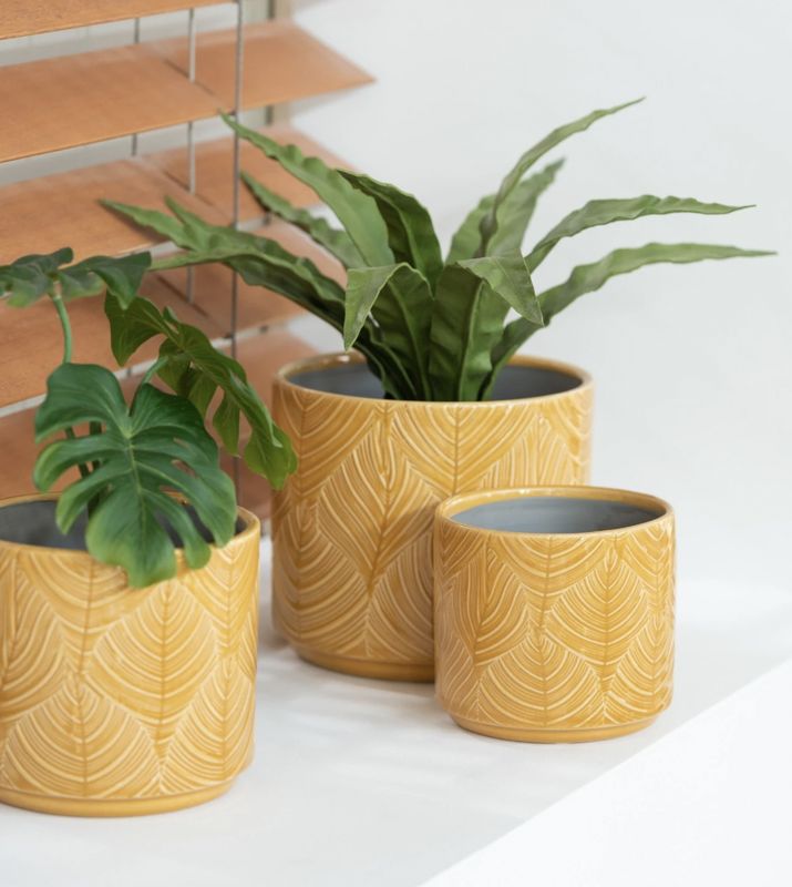 Bloempot Tropical