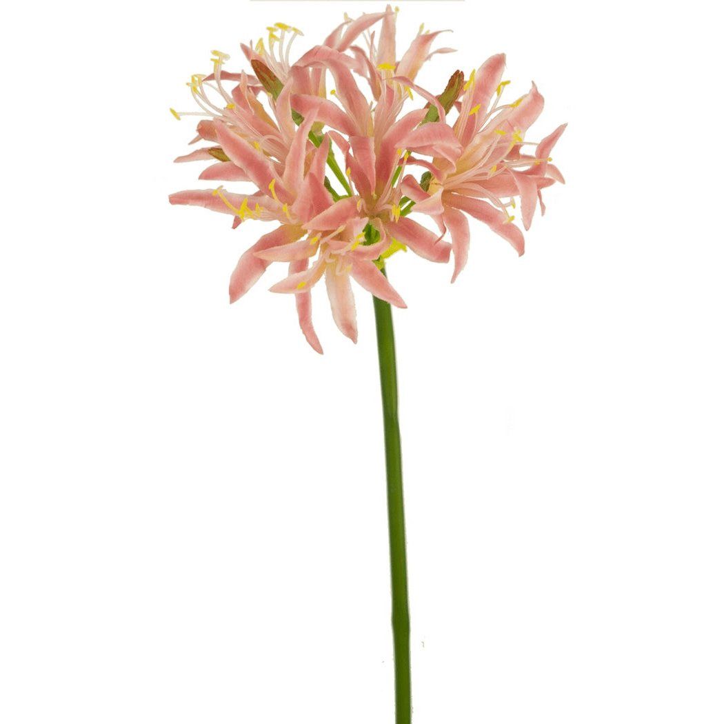 Kunstbloem Nerine