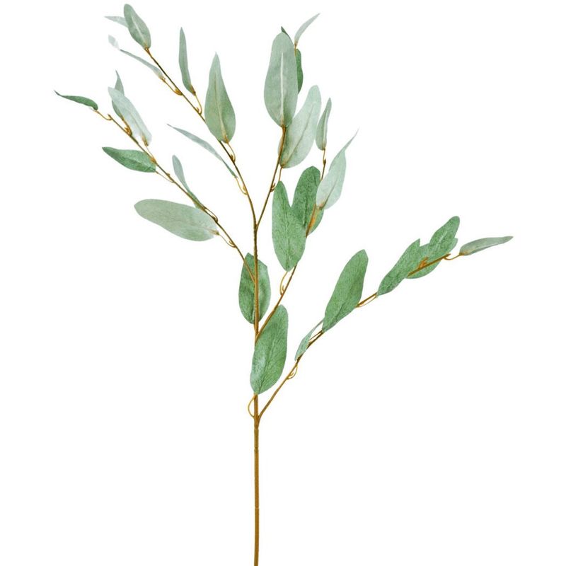 Kunsttak Eucalyptus