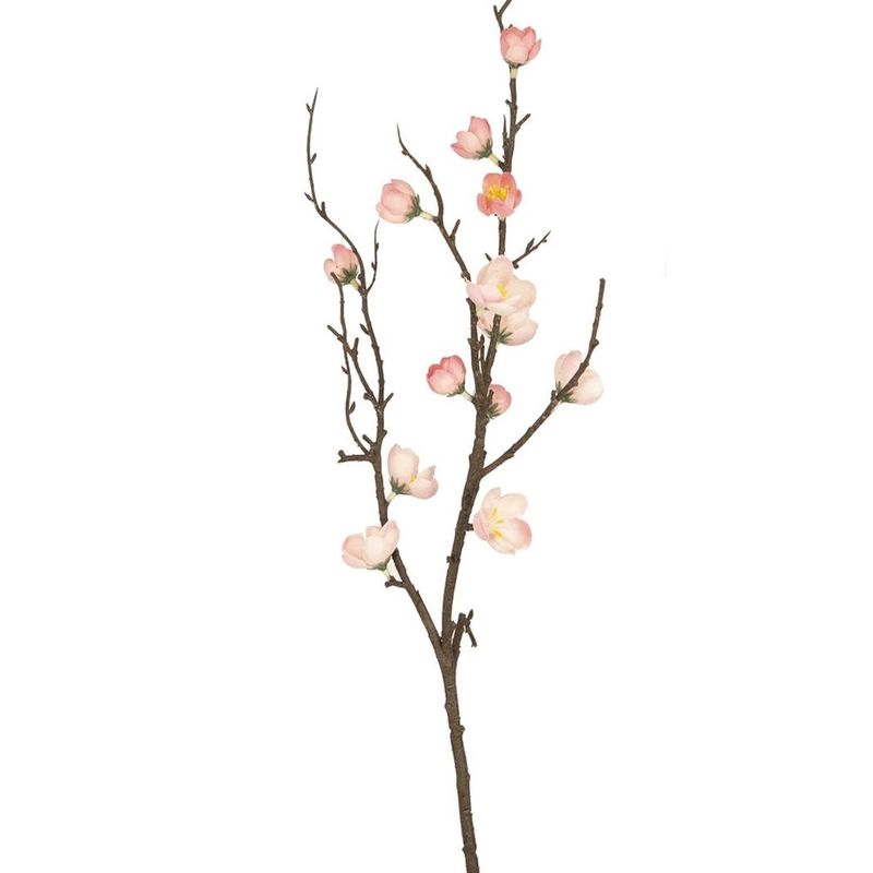 Kunsttak Prunus