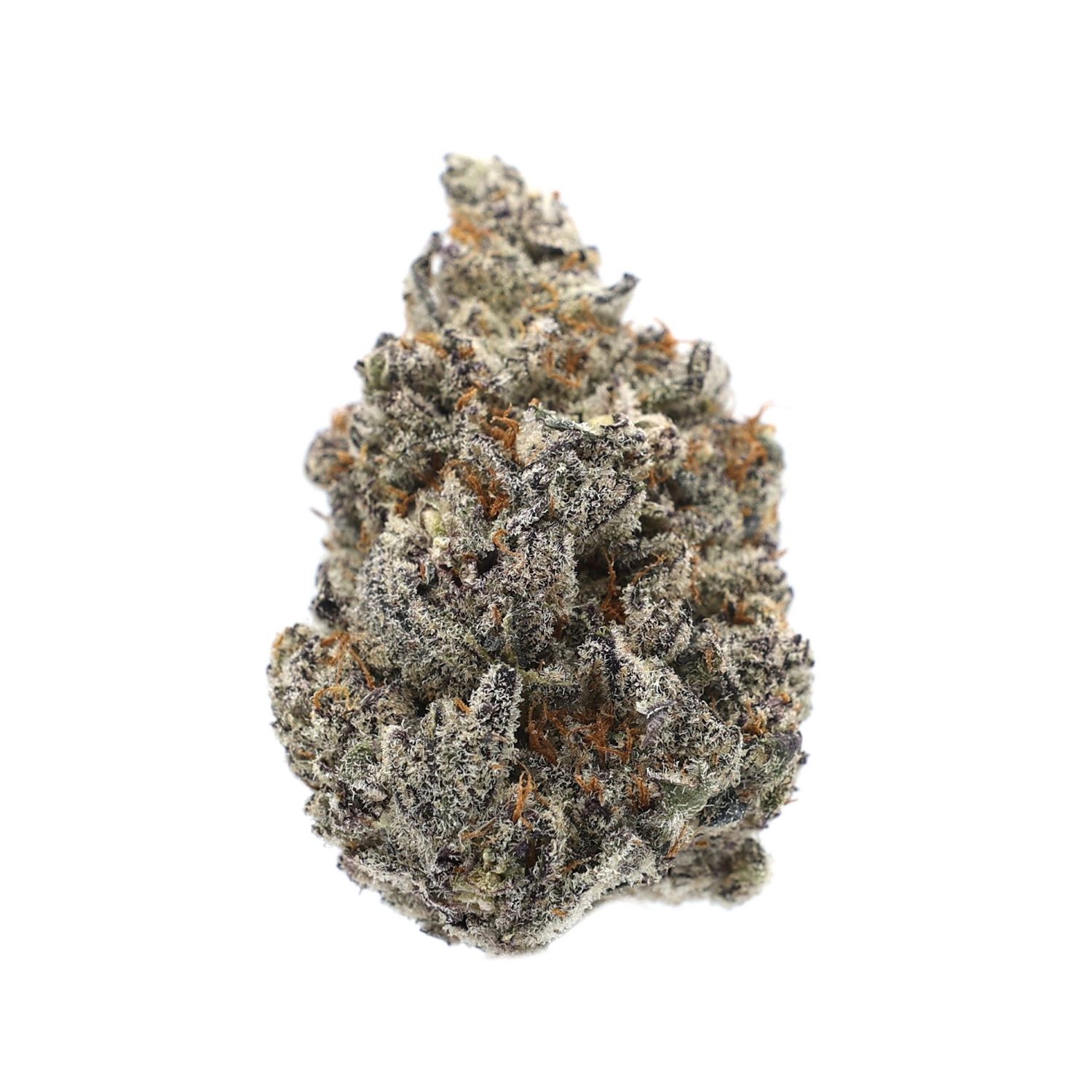 High Hippy - Drippin Ain’t Easy