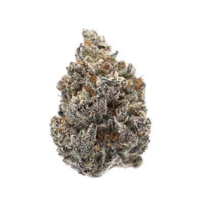 High Hippy - Drippin Ain’t Easy