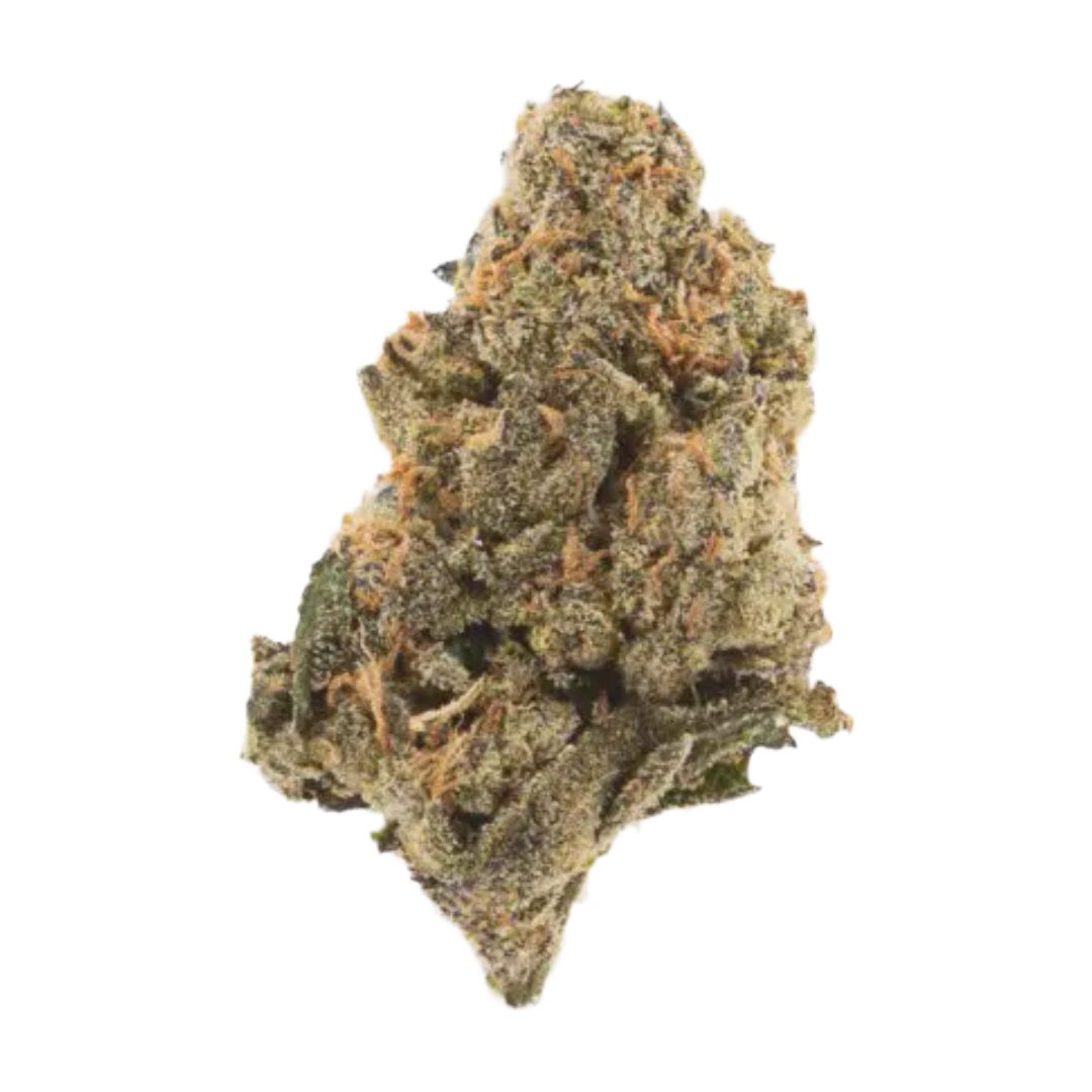 High Hippy - Dirty Taxi