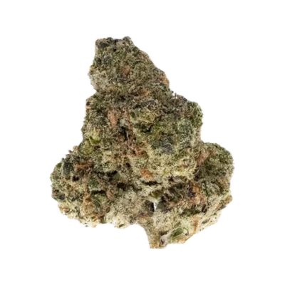 High Hippy - Governmint Oasis