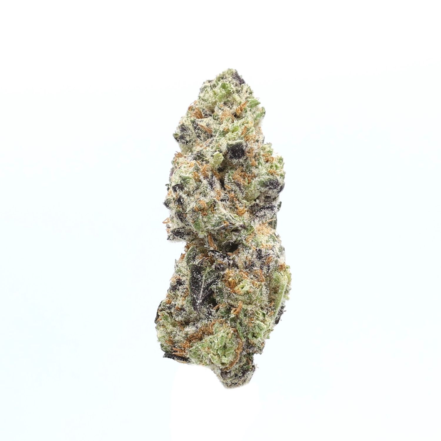 High Hippy - Money Maker (Exotic)