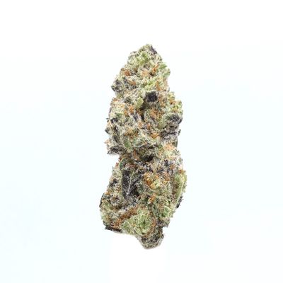 High Hippy - Money Maker (Exotic)