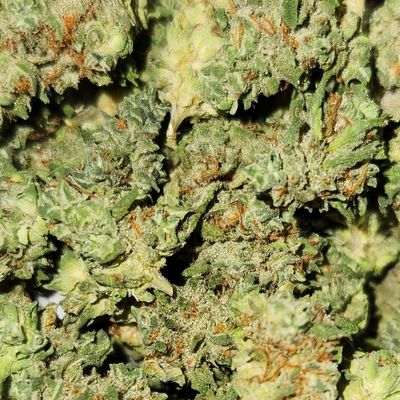 hmp. - Jungle Cake (Smalls)