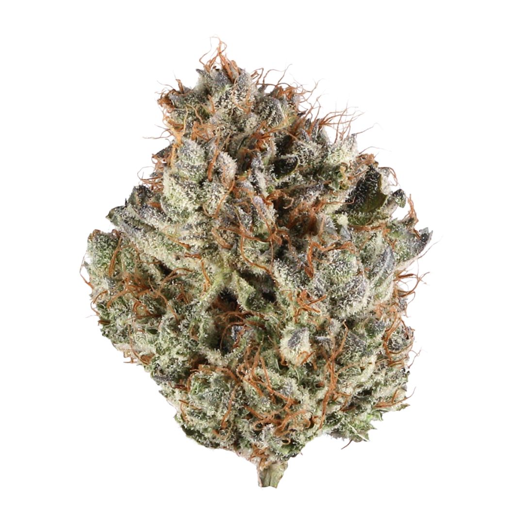 High Hippy - G Force (Exotic)