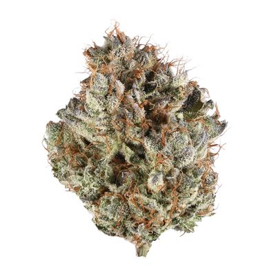 High Hippy - G Force (Exotic)