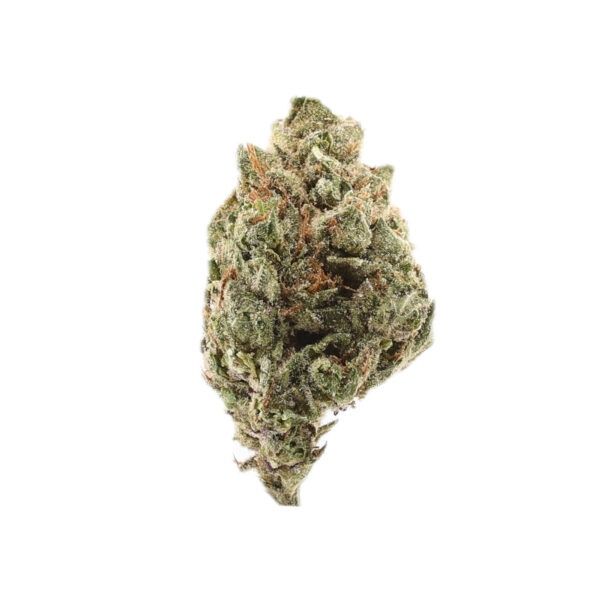 High Hippy - Blueberry Mochi (Greenhouse)