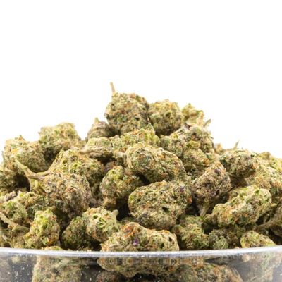 High Hippy - Purple Pancakes (Exotic Smalls)