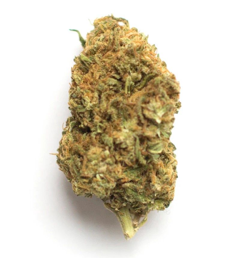 Fuego - Bubblegum Runtz (Private Reserve)