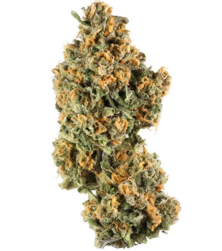 Fuego - LA Pop Rocks (Trap Stash)