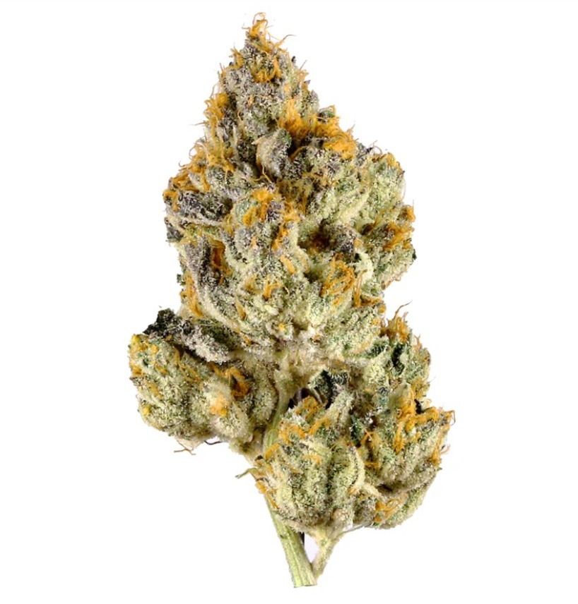 Fuego - Lemon Cherry Gelato (Trap Stash)