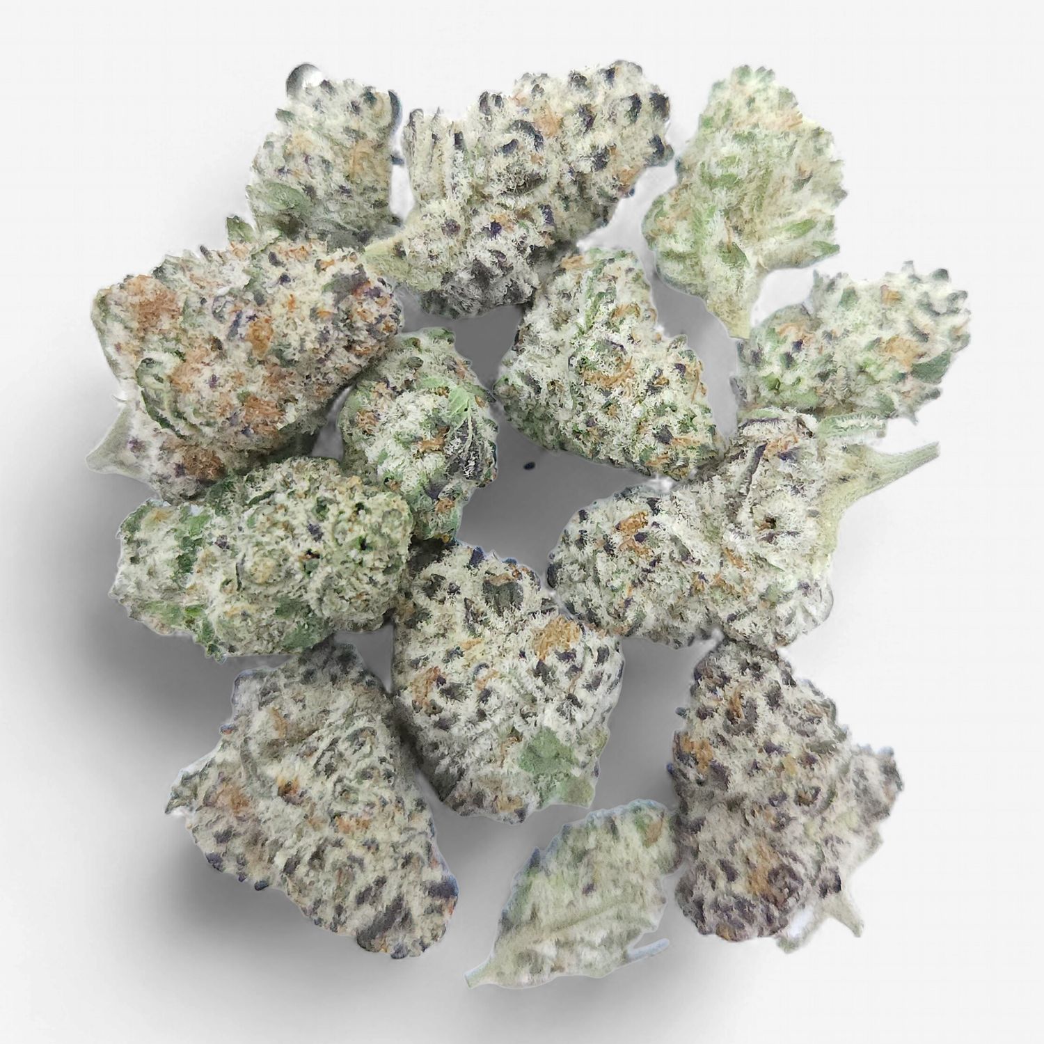 hmp. - Jello Shotz, Weight: 7g