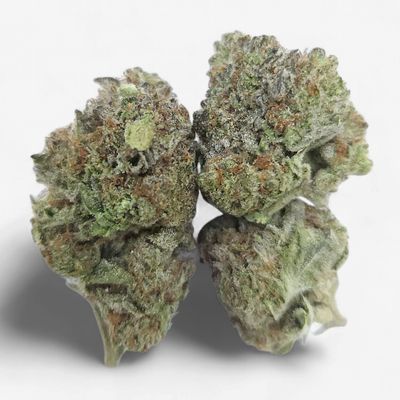 hmp. - Peach Runtz (Light Dep)