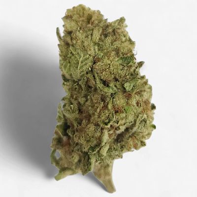 High Times - Jack Herer
