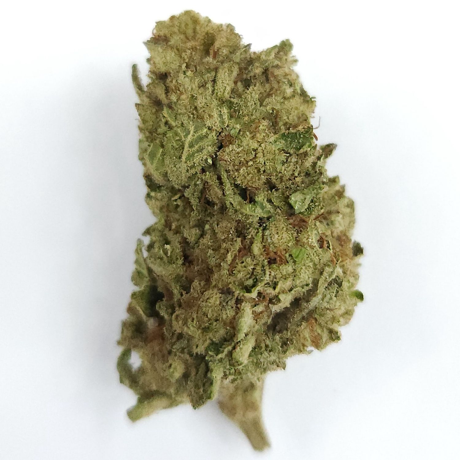 High Times - Jack Herer, Weight: 3.5g