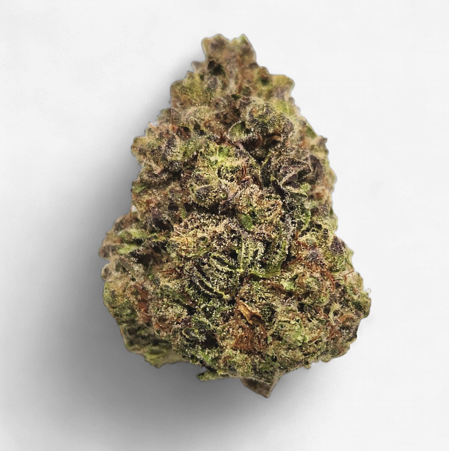hmp. - Headband, Weight: 3.5g