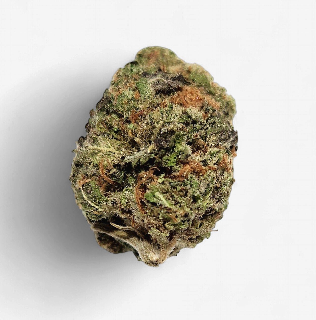 hmp. - 24k Gold, Weight: 3.5g