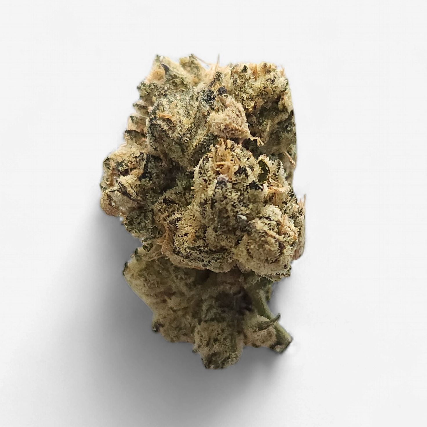 Cam | Cam Pop THCa Flower, Weight: 7g