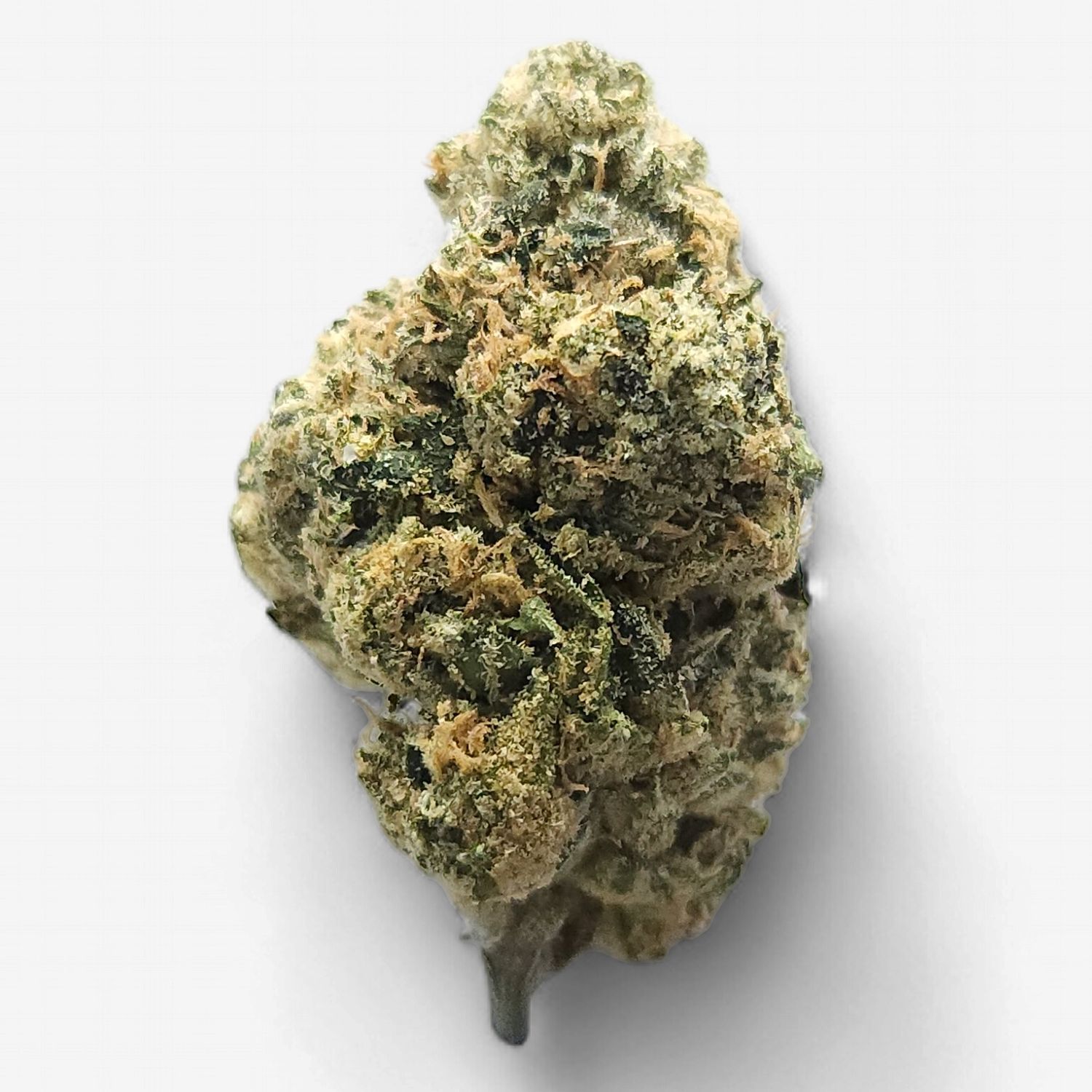 Cam | Brain Dead THCa Flower, Weight: 7g