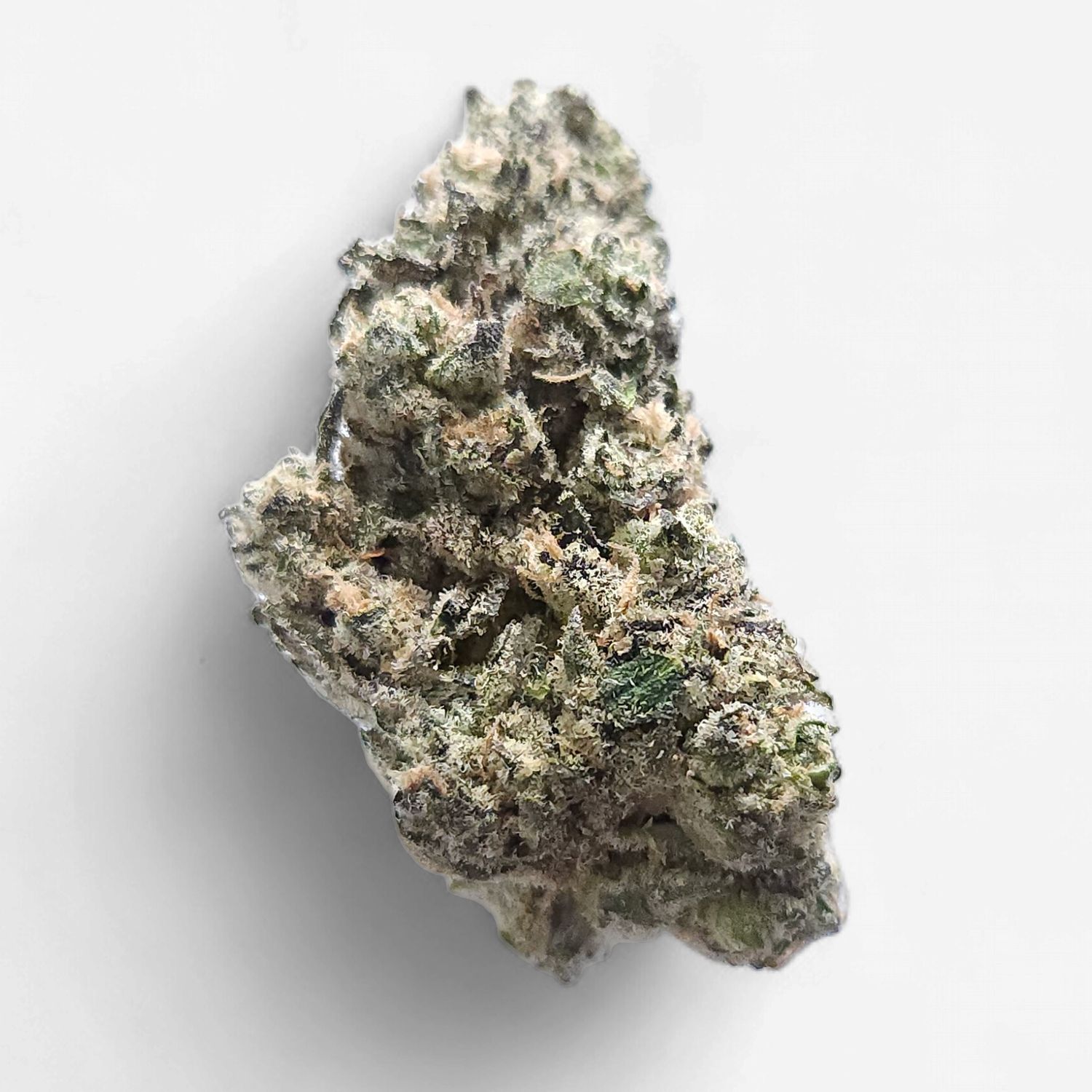 Cam | Bubba's Girl THCa Flower, Weight: 7g