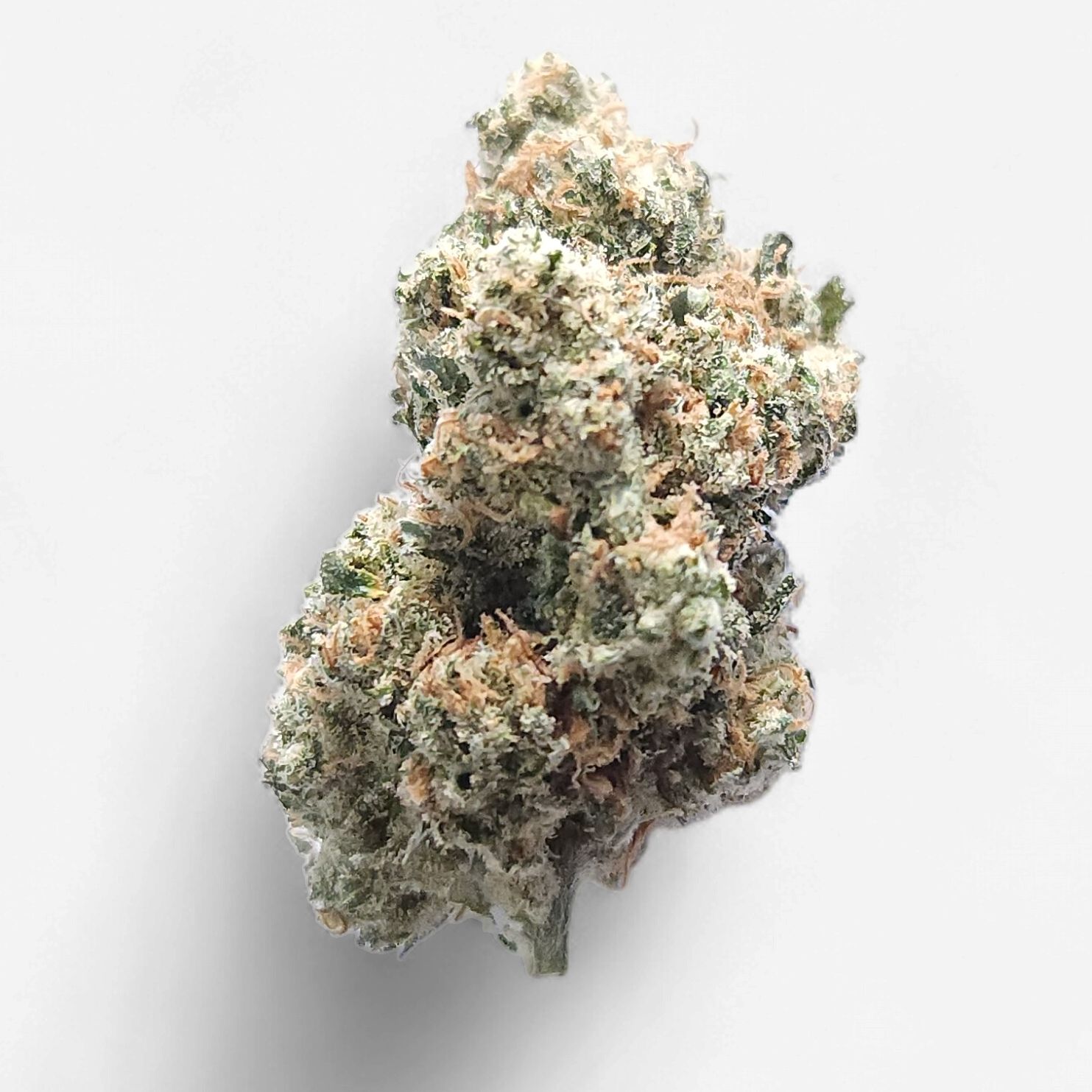 Cam | Jack Herer THCa Flower, Weight: 7g