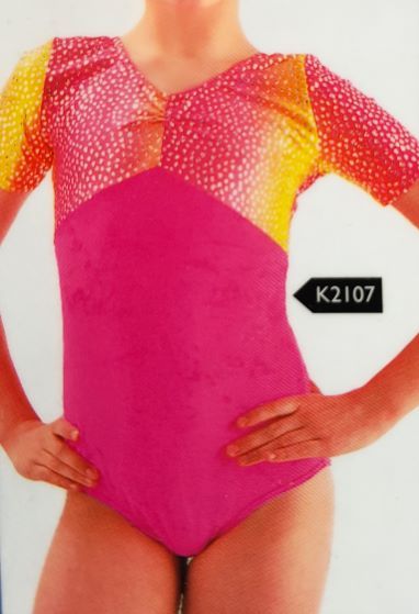 Katz - Short Sleeve Leotard with Ruche - 2107