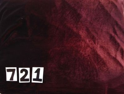 Fabric 721 Fabric 721