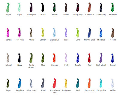 CRAVATTA SATIN TIE PREMIER, Colore: Bianco