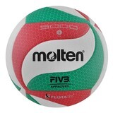 V5M5000 Molten Volleyball