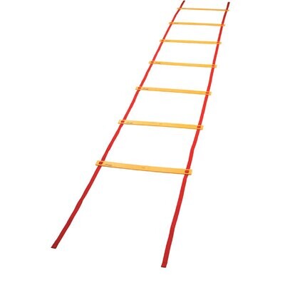 AGLXX Agility Ladder 20'