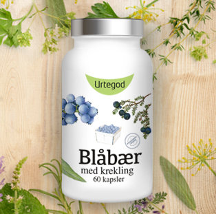 Blåbær med krekling Blåbær med krekling